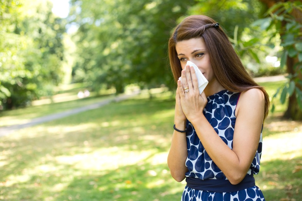 Symptoms of hay fever include sneezing and a stuffy nose.