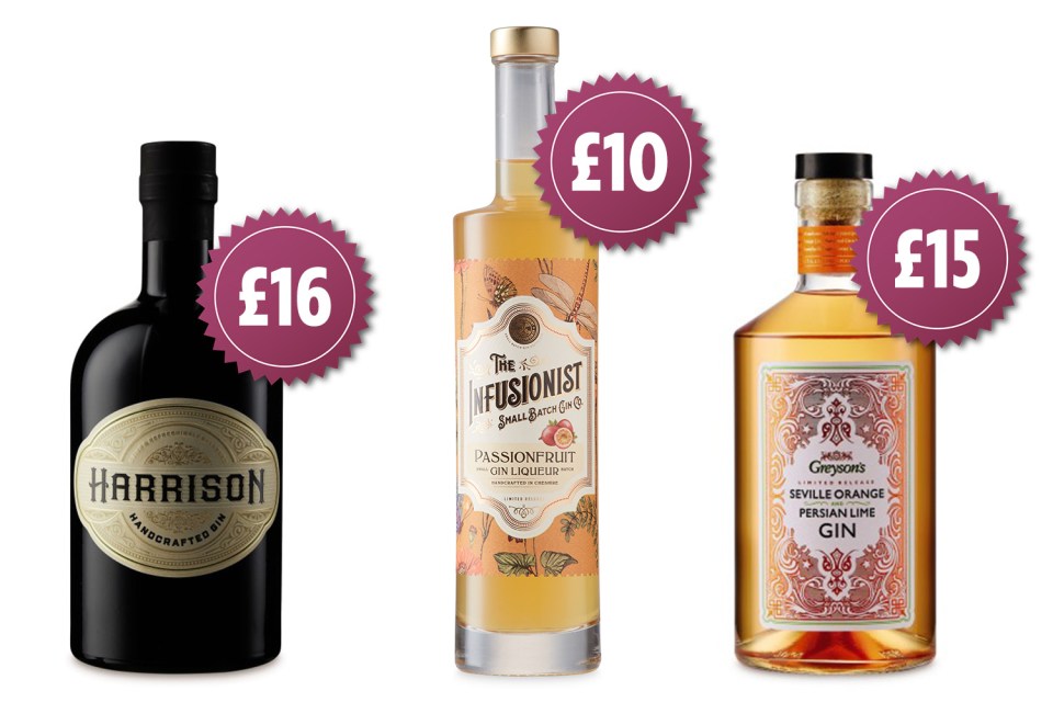  Aldi's award-winning flavoured gins are all under £16