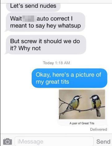  We hope this guy enjoyed his photo of 'great tits'