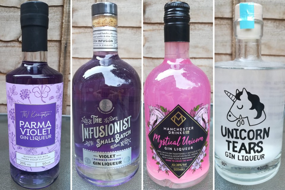  We sampled nine different gins to find you the best value for money