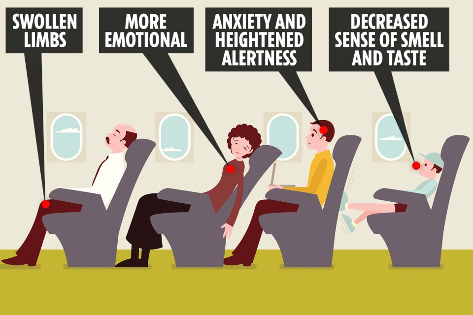  Did you know that flying can actually change the way you taste and think whilst on board?