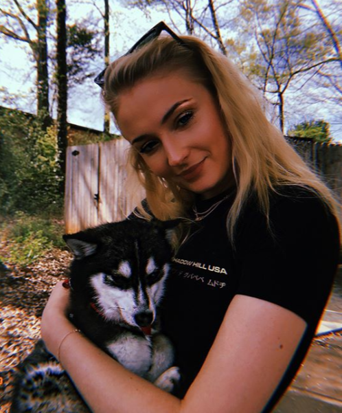  Sophie Turner with little Waldo, who was tragically killed after being run down by a car in New York earlier this week