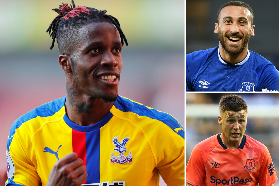  Everton have made a second bid of £55million plus Cenk Tosun (top right) and James McCarthy (bottom right) for Wilfried Zaha