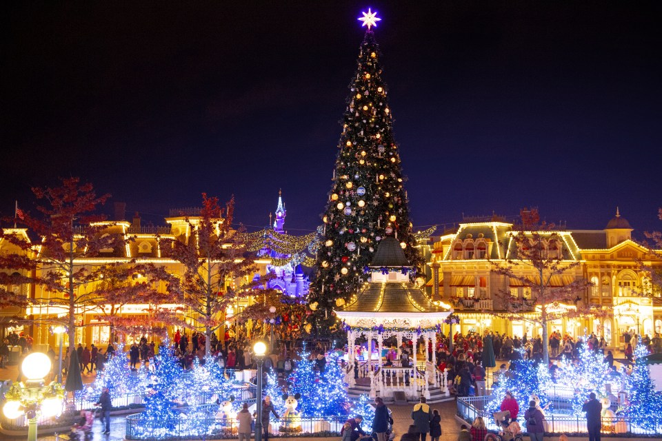 The Christmas tree will be lit up during the two-month period