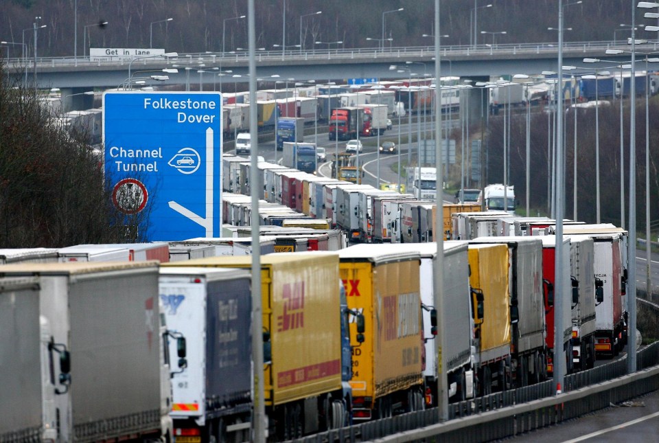 Project Fear peddlers told of 17-mile traffic jams at Dover in the event of No Deal Brexit