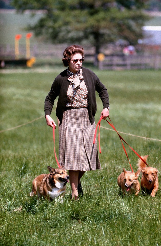  The Queen, pictured with some of her prized corgis, has described the dogs as 'family'