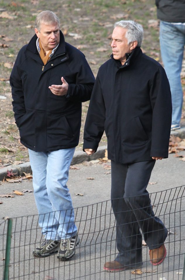  Prince Andrew is pictured with Jeffrey Epstein in New York in 2010