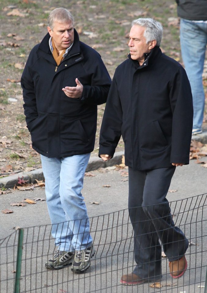  Prince Andrew was pictured going for a stroll through New York with Jeffrey Epstein in 2010