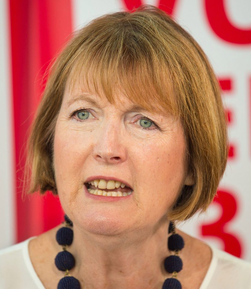  Harriet Harman has been named as one of two candidates to lead a unity government