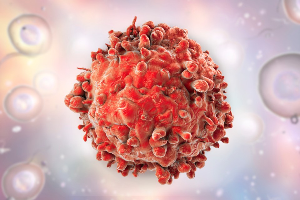 New research has found that Brits are putting themselves at risk by dismissing the warning signs of blood cancer, file image of a cancerous white blood cell