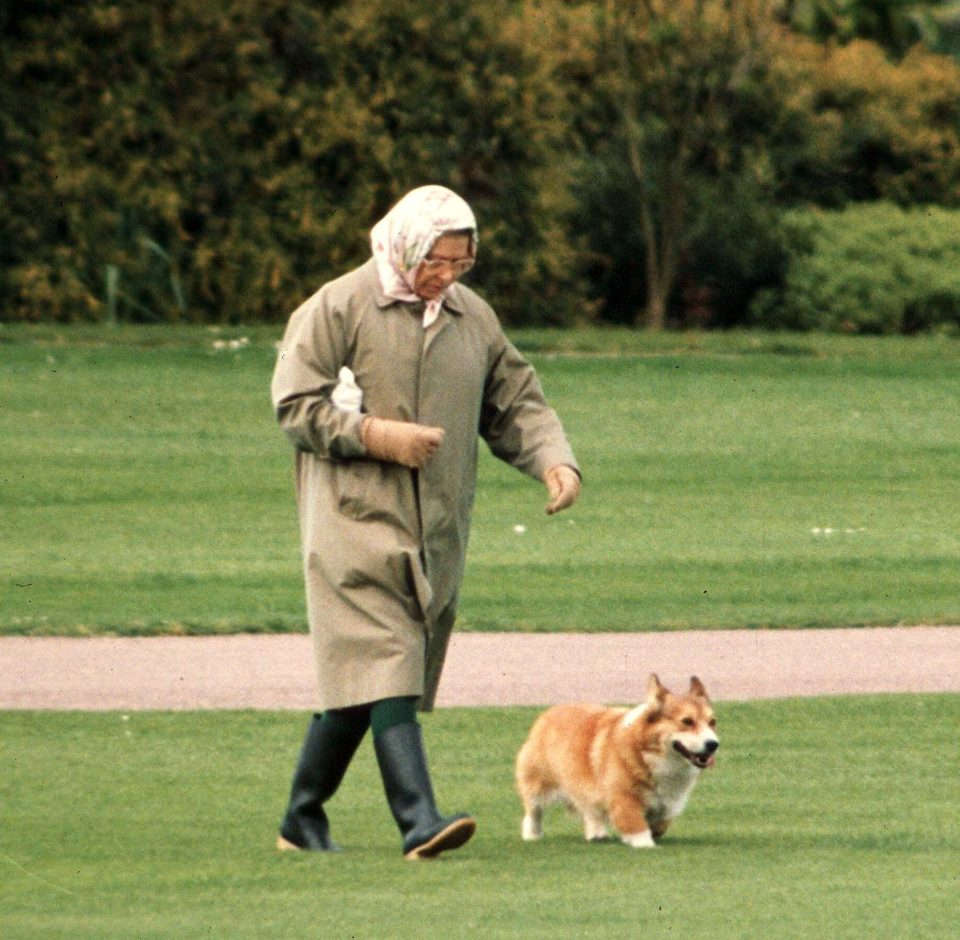  The Queen apparently had a "gruesome" habit of picking the ticks of the corgis and flinging them into the fire