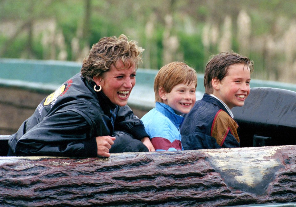 Wills and Harry were due to see their mum the day after she died