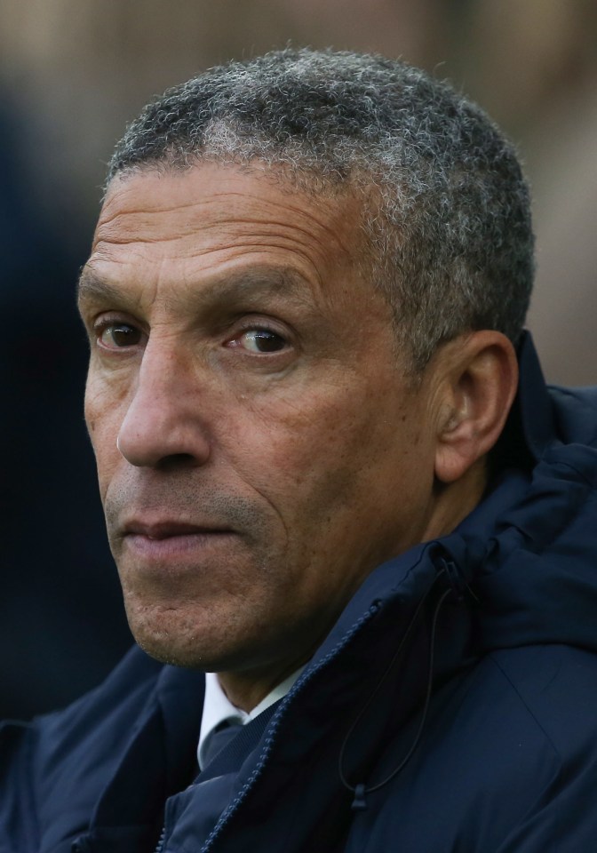 Brighton will rue the day they fired Chris Hughton