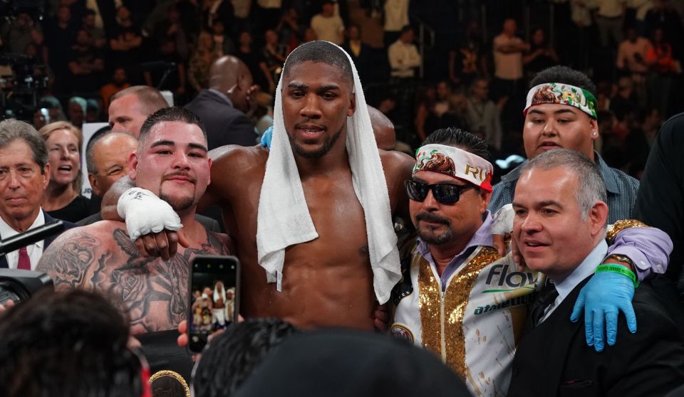  Anthony Joshua will get his shot at redemption as he fights Andy Ruiz in a rematch in the desert on December 7