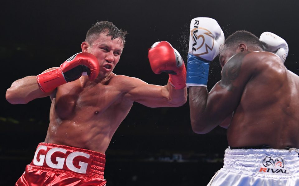  Gennadiy Golovkin, in action in his last fight, a victory against Steve Rolls, could be back in world title action