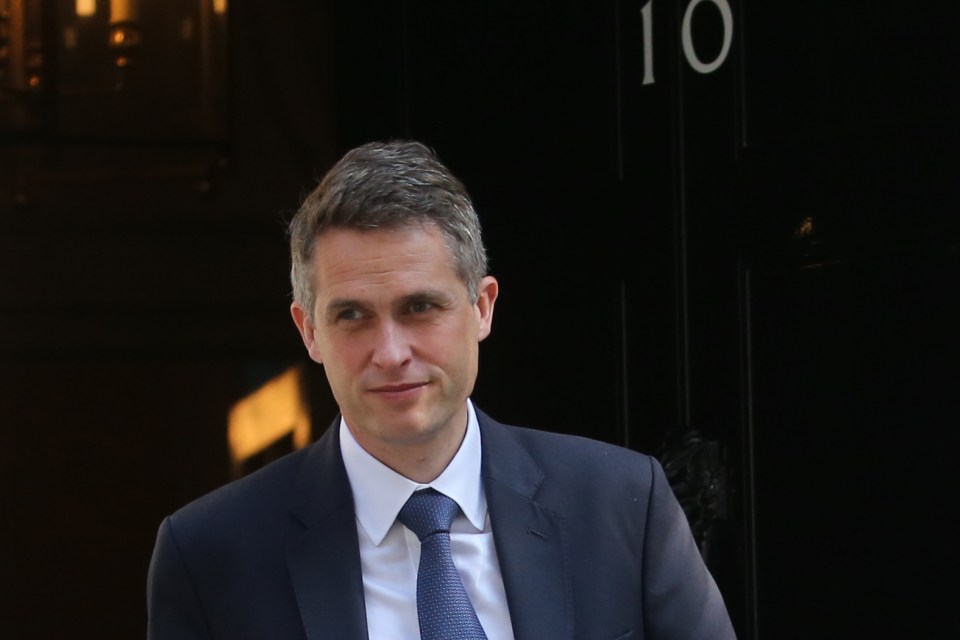  Gavin Williamson has been appointed Minister Without Portfolio by Rishi Sunak