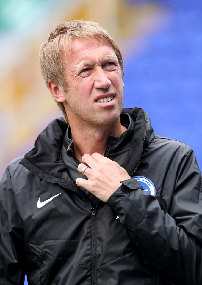 Graham Potter will need a miracle to keep Brighton up