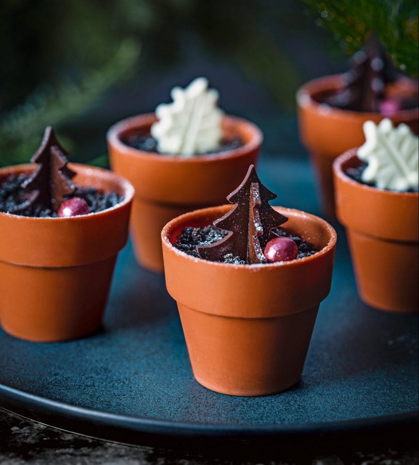  You can eat every bit of these plant pots