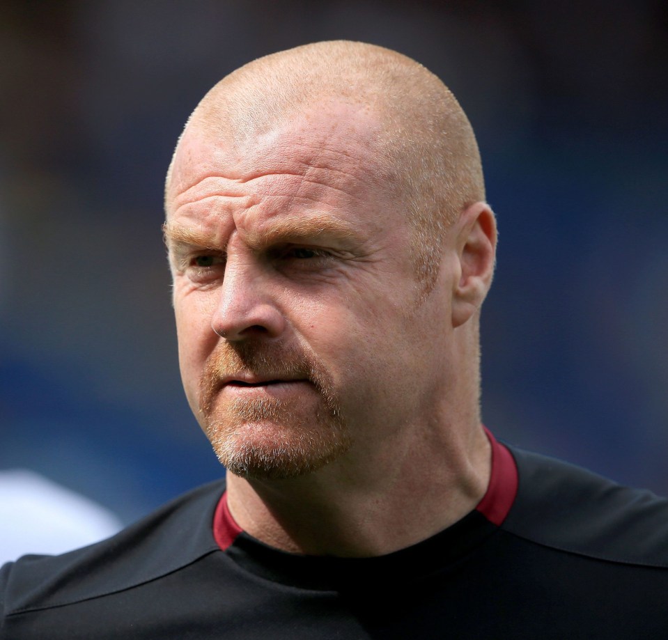 Sean Dyches Burnley could really struggle this season