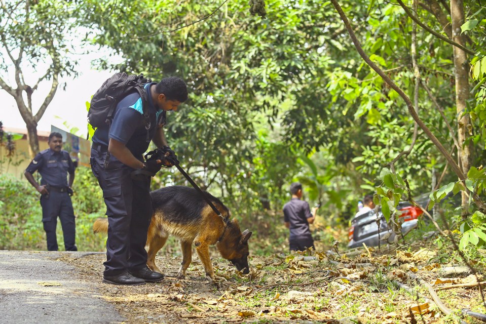  A cadavar dog has been brought in to join the search