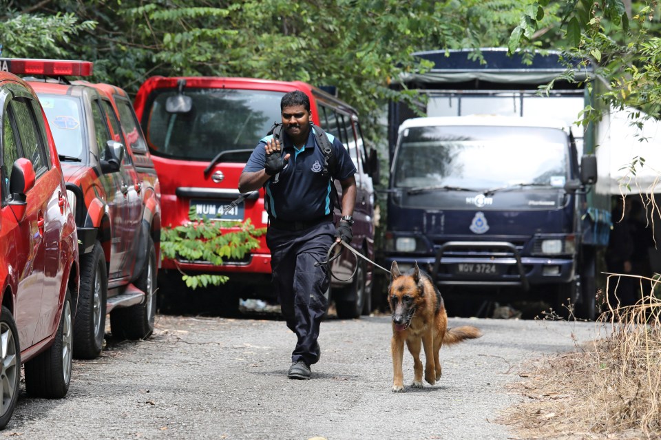  Sniffer dogs brought in to find the girl have managed to pick up her trail 100 metres from the resort - but no further