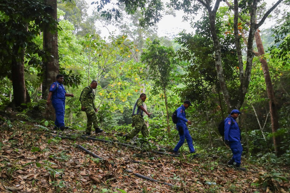  Hundreds have joined the search for the missing girl