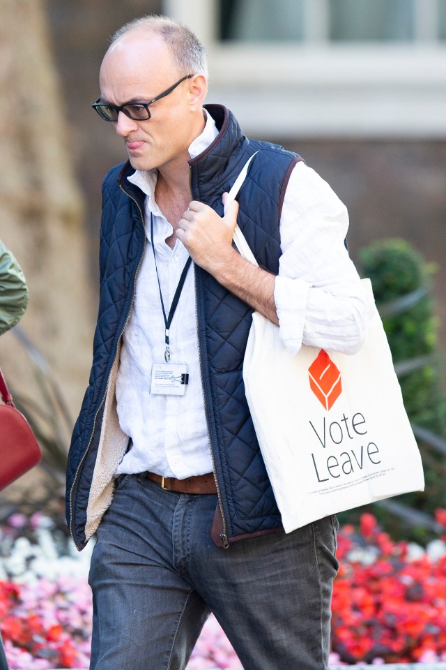  Dominic Cummings arrives at No10 with a Vote Leave tote bag this morning