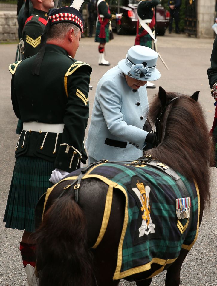  The monarch gave a pony a pat during her day out