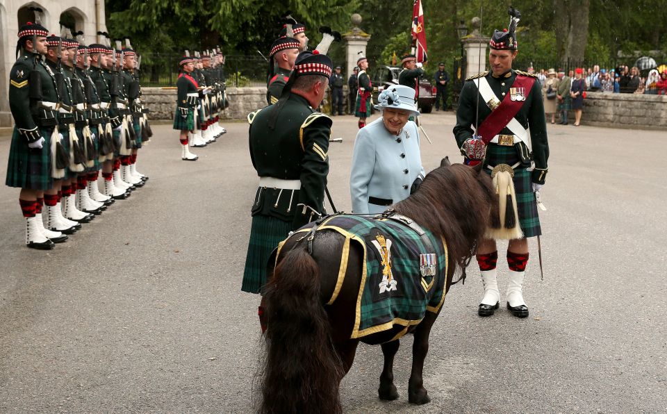  The monarch gave a pony a pat during her day out at Balmoral this week