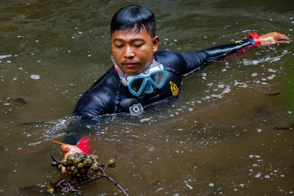  Divers have also been searching river beds