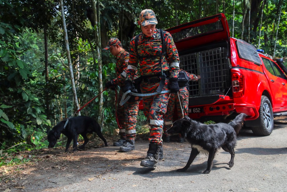  The search now includes 200 people, a helicopter, and sniffer dogs