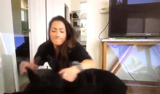  Brooke Houts faced a furious backlash earlier this month when she 'accidentally' filmed herself slamming her dog to the ground and spitting on it