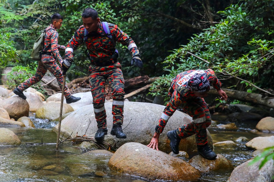 Search teams believe Nora Quoirin is still alive and hiding behind rocks or trees