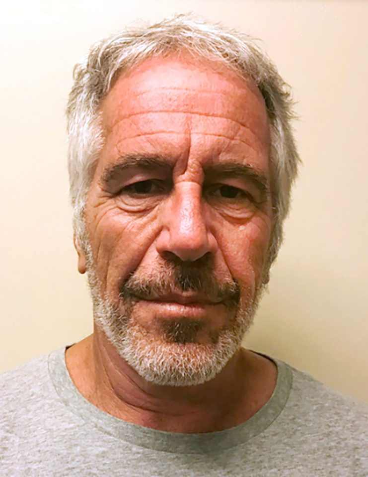  Jeffrey Epstein was found hanged in his jail cell at the weekend