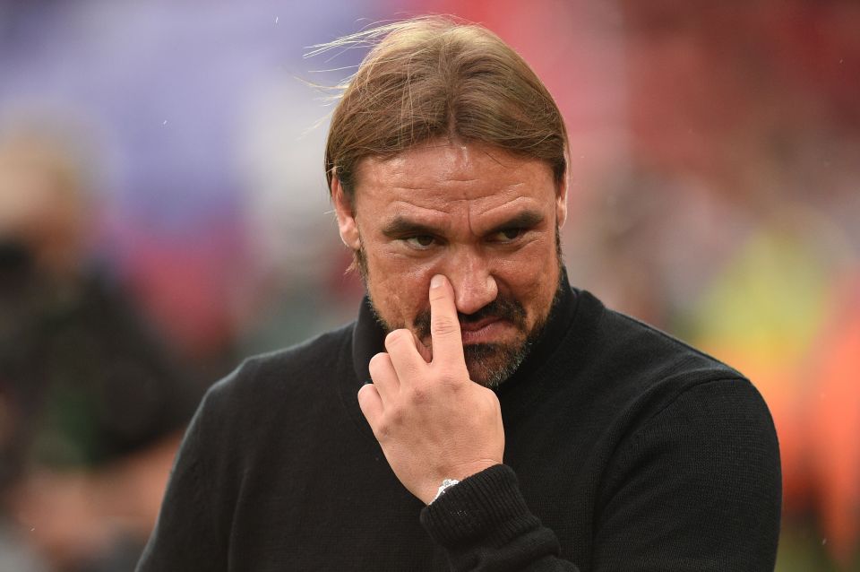 Norwich boss Daniel Farke had a difficult welcome to the Premier League 