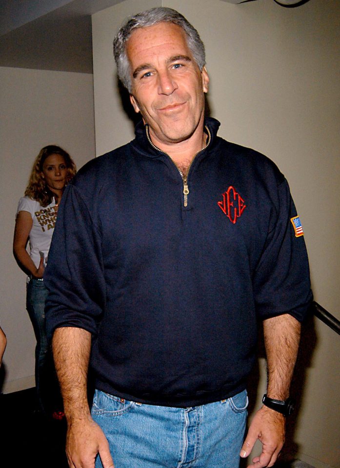  Epstein had been on suicide watch while being in New York