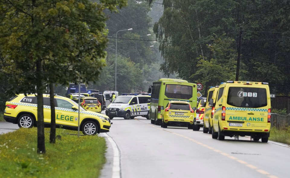  A gunman stormed the al-Noor Islamic Centre, Norway this afternoon, leaving one man injured