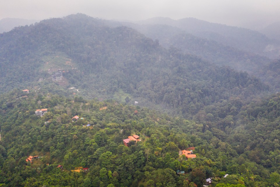  An aerial view of the dense jungle surrounding the Dusun Resort