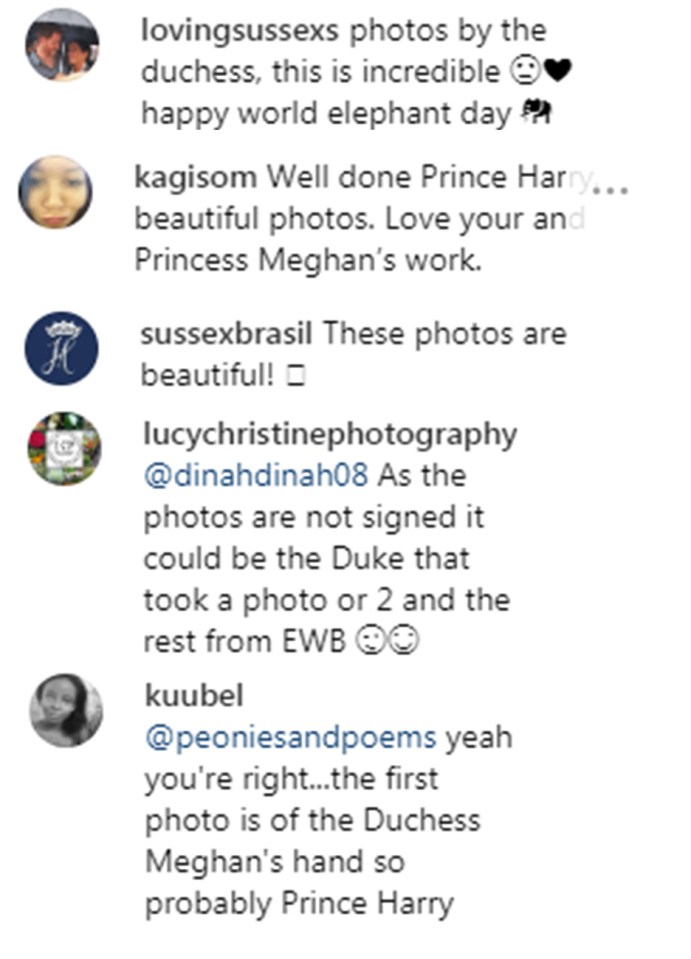  Royal fans flooded the sussexroyal Instagram account with praise for the 'beautiful' images