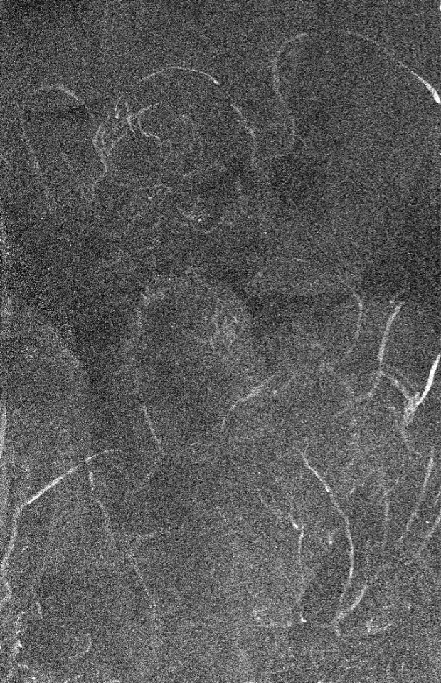  Scan of Leonardo's artwork The Virgin Of The Rocks, showing distribution of zinc revealing the angel and baby of the first composition, as drawings made by the artist underneath one of his most popular paintings have been revealed