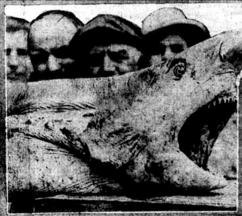  One of many sharks killed after the 1916 string of attacks in New Jersey