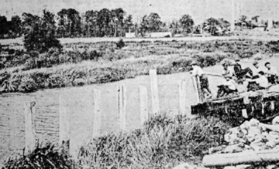  The creek where Lester Stilwell and Stanley Fischer were attacked by a shark