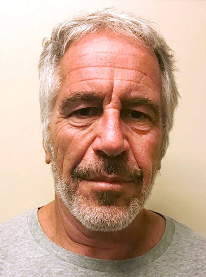  Epstein hanged himself in his jail cell earlier this month