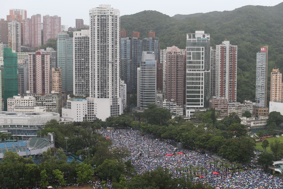  Aerial pictures showed the full scale of the massive march which took over the city two weeks ago