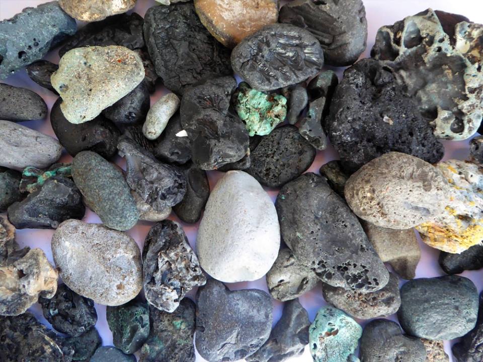  Thousands of the "stones" have been found across the Cornish coastline