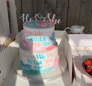  The pink and blue cake took centre stage at the party