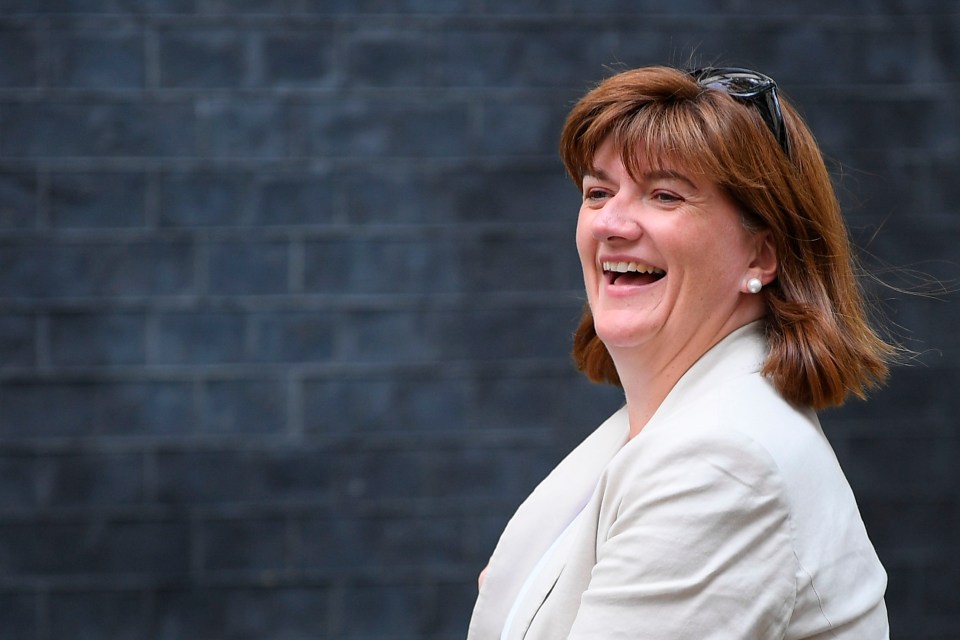 Nicky Morgan announced £30m for the rollout of fifth generation of superfast internet in rural Britain