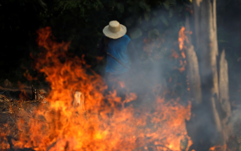  Conservationists say some of the fires have been started by loggers and farmers clearing areas for cattle