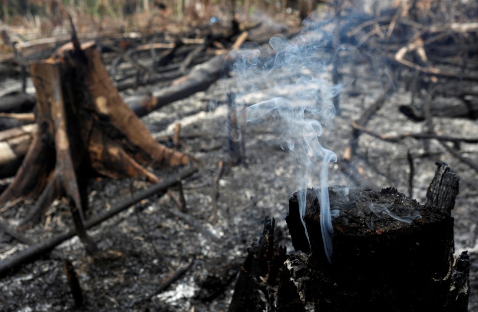  A part of the Amazon jungle burns as it is being cleared by loggers and farmers in Novo Airao, Amazonas state