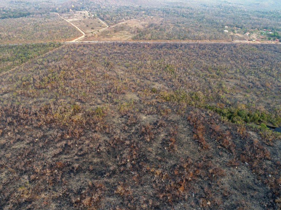  An aerial view of an area of land that has been scorched by fire in the state of Mato Grosso, Brazil